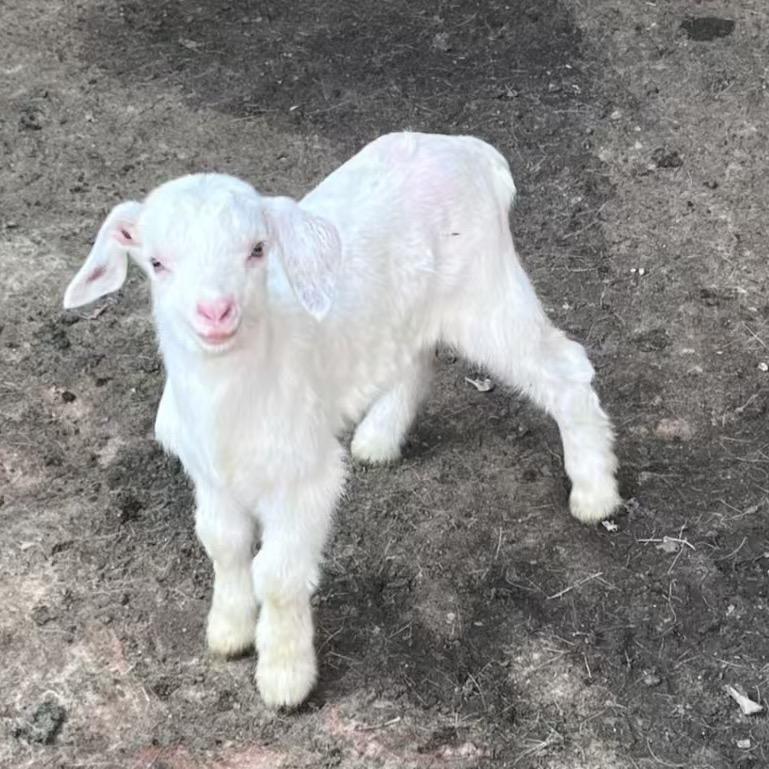 重生为帅哥后男朋友第一次就被我点到的夜晚