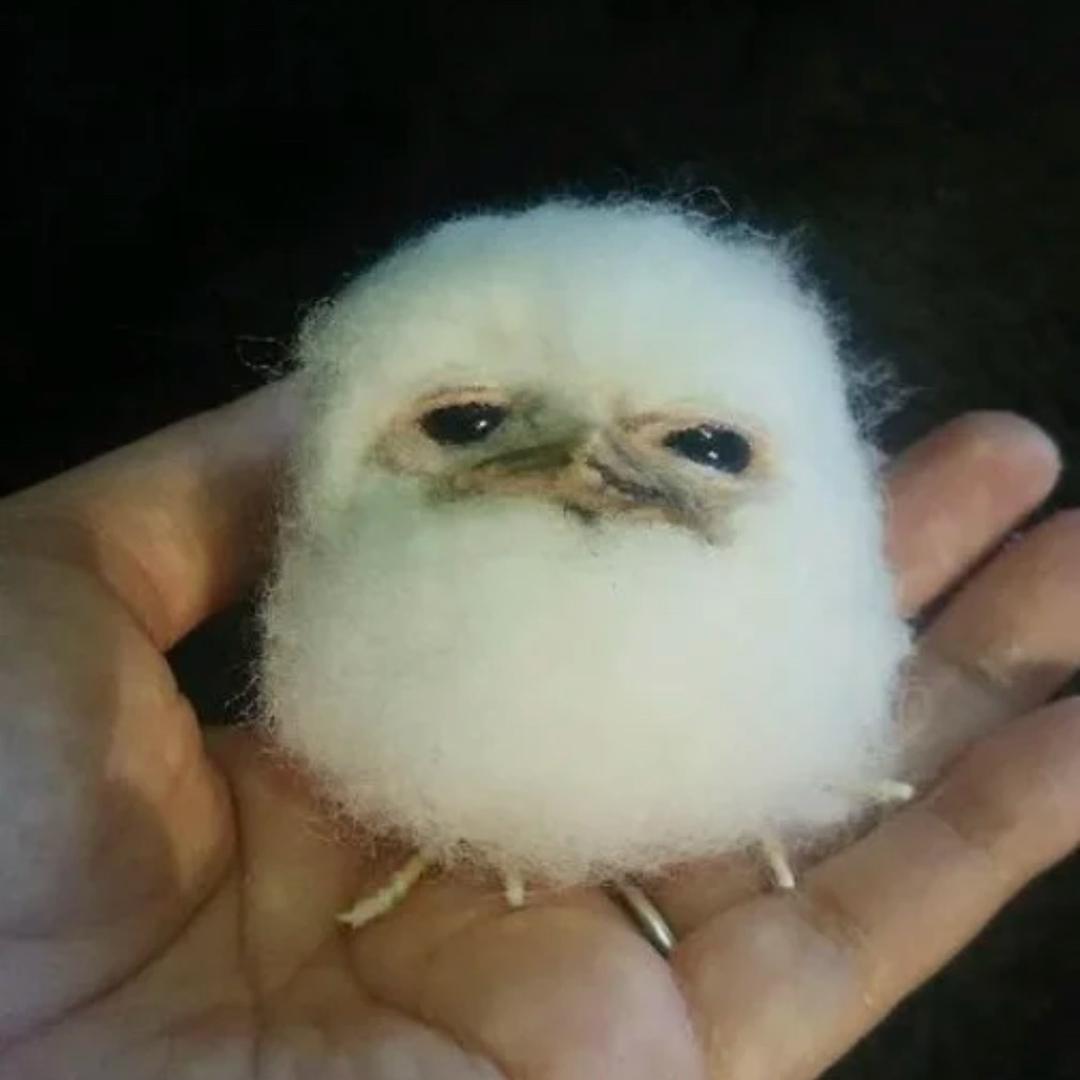 xe