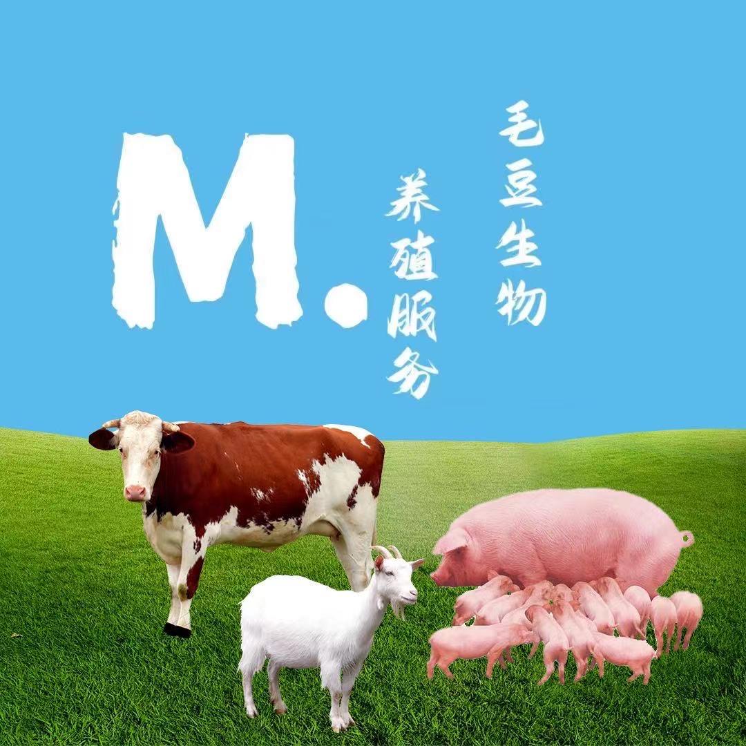小王养殖⭕️