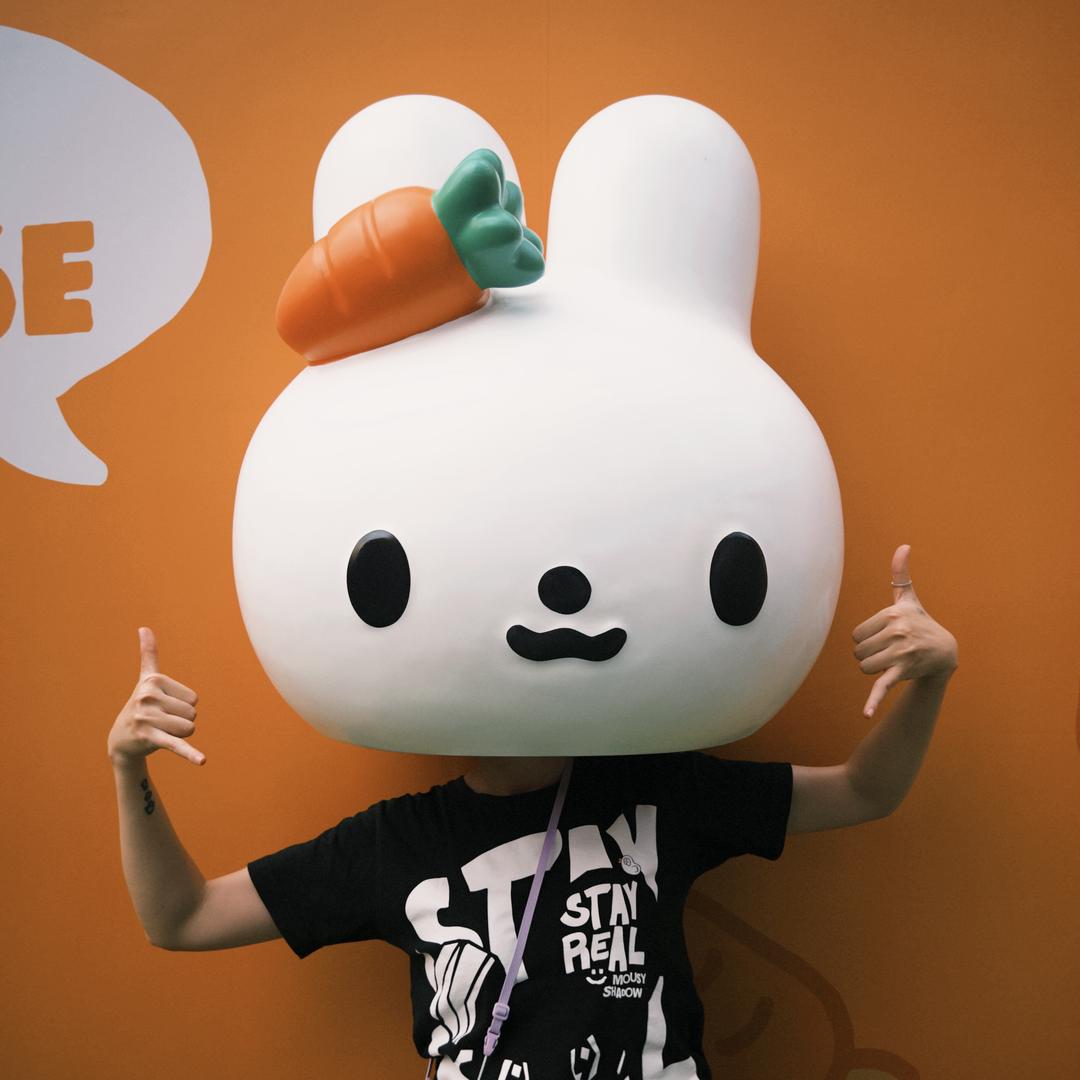 猫猫兔🥕