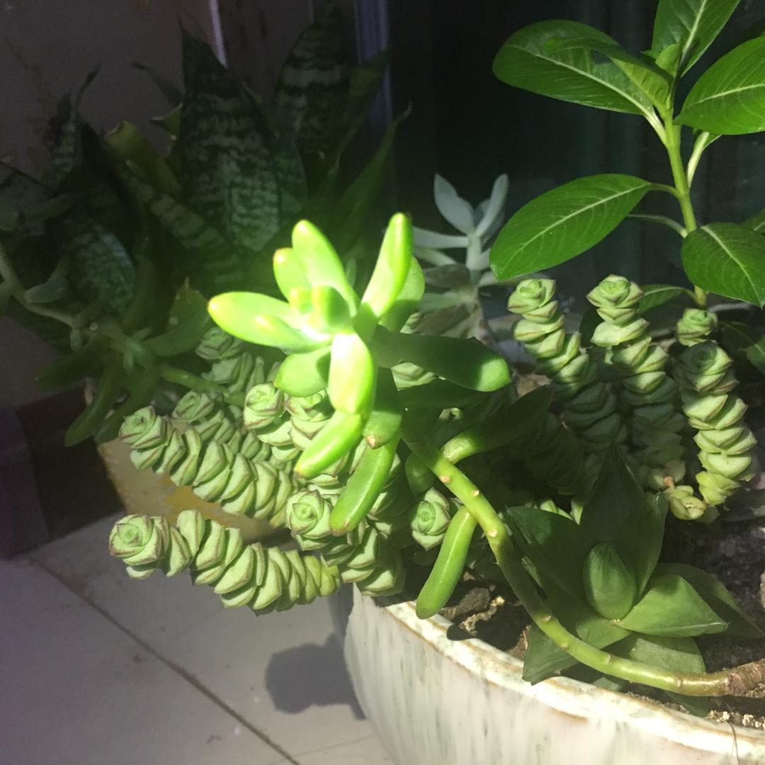 无限阳光