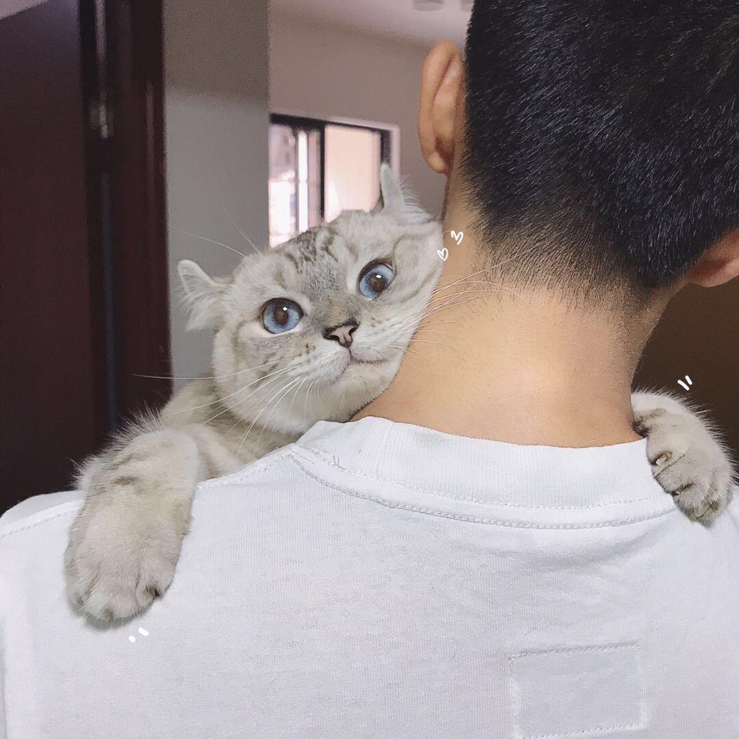 蜡笔小兴