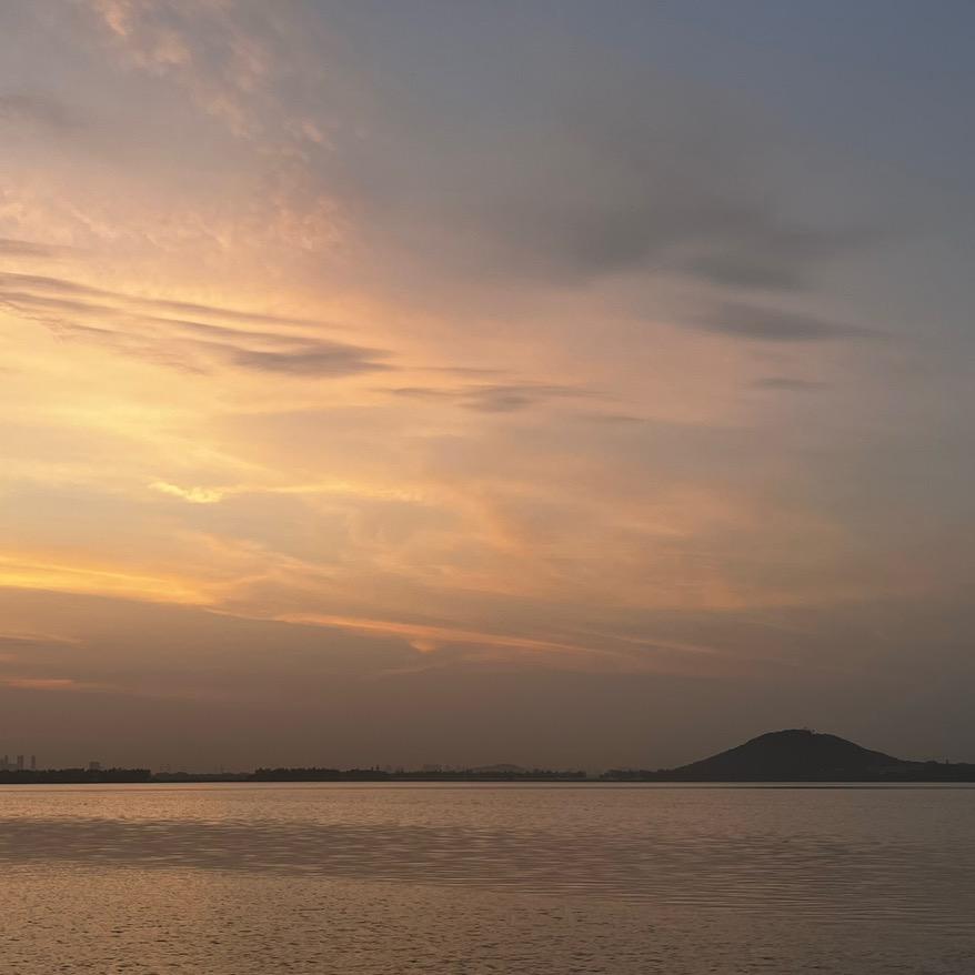 麦乐鸭