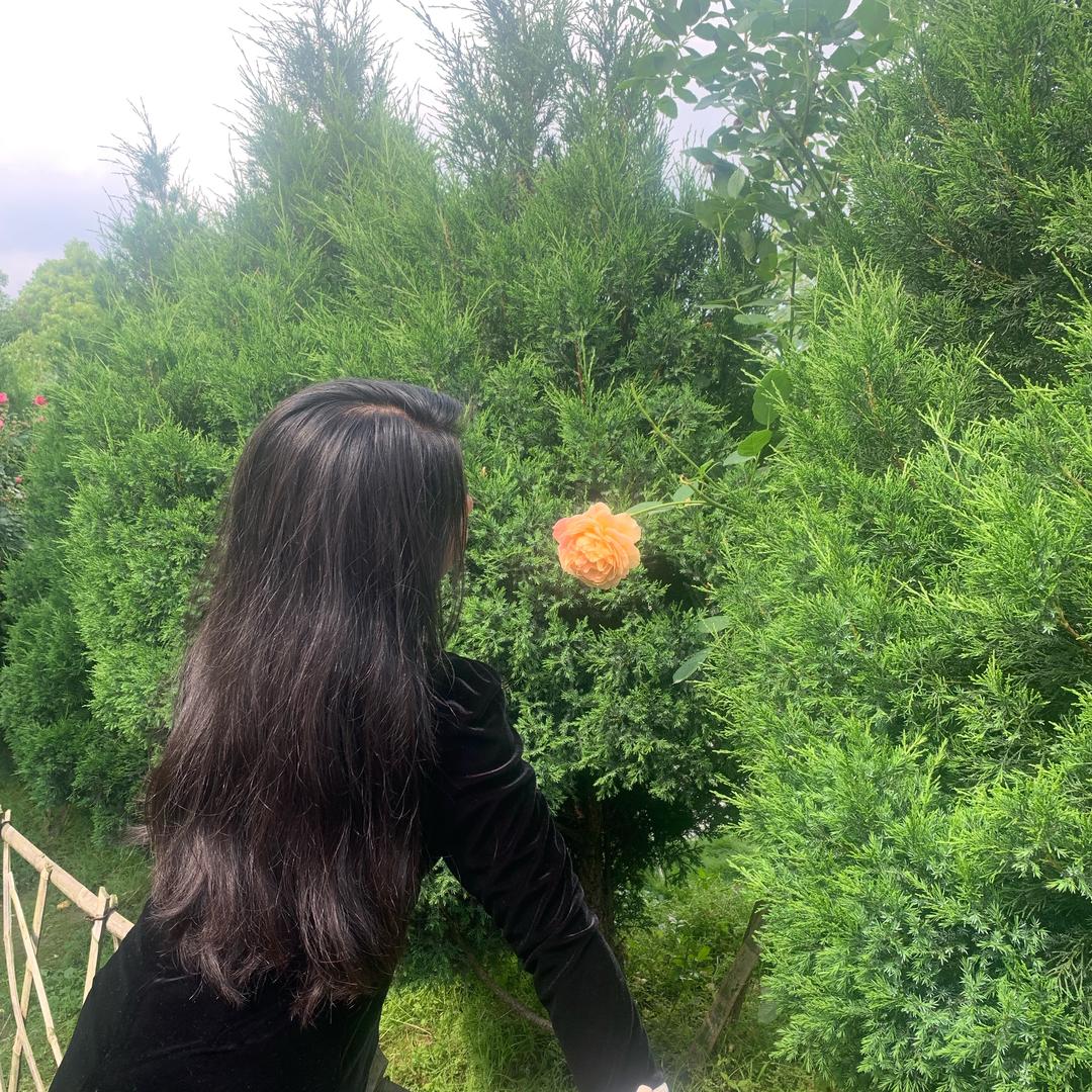 半俗半雅半随缘