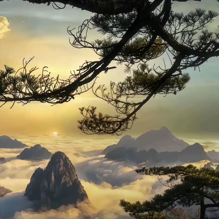 小超市(已授权)