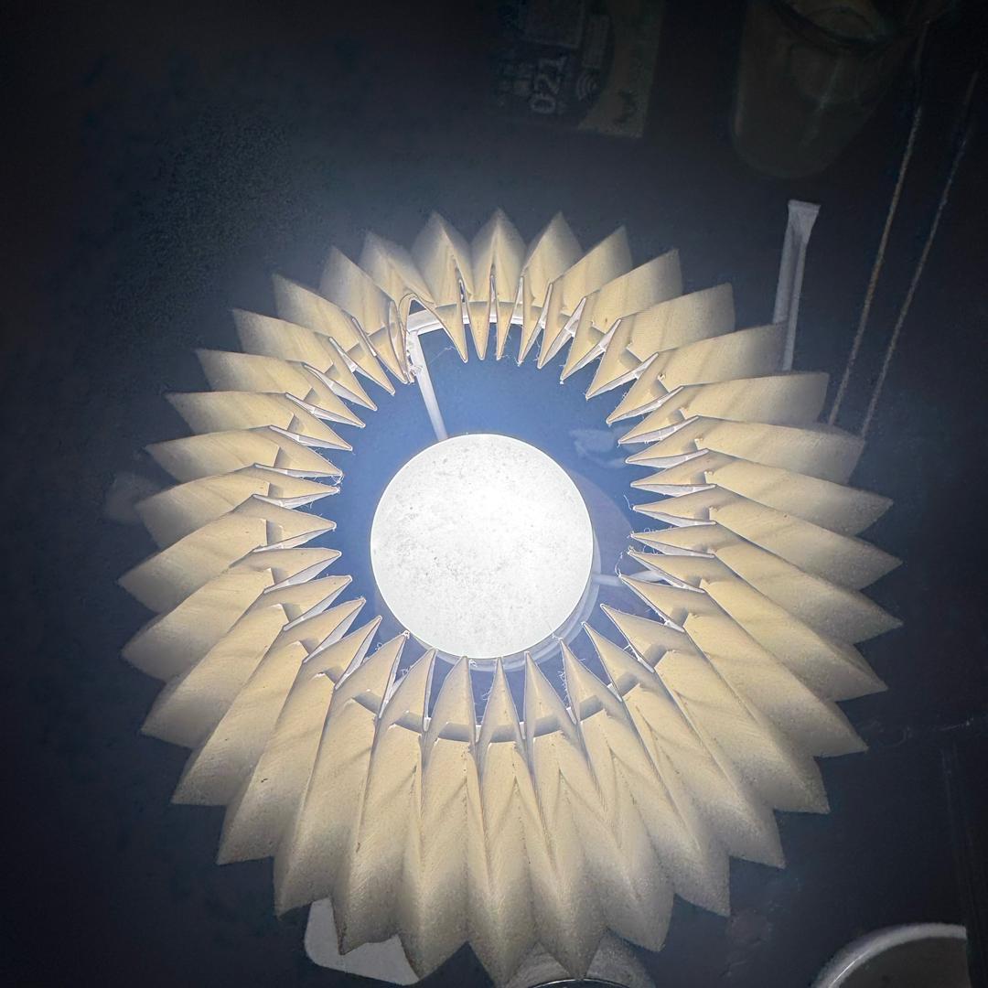 人间烟火收藏家