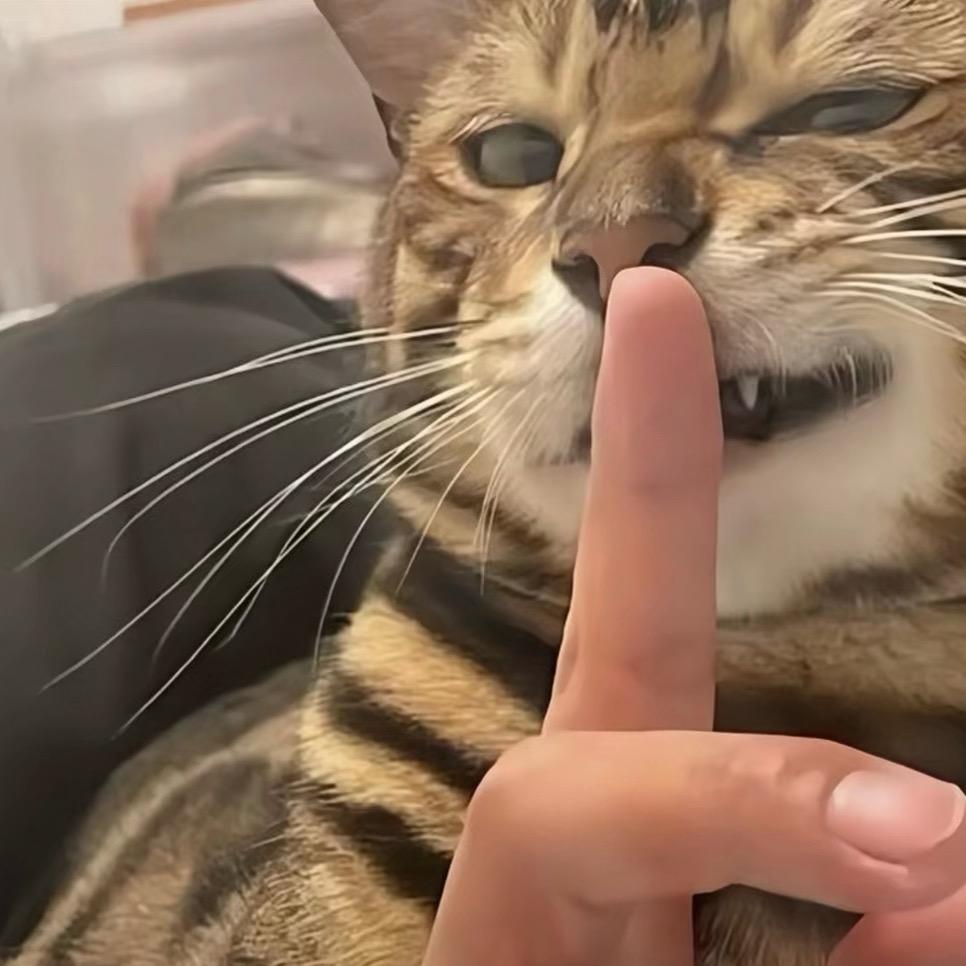 雾里看雾