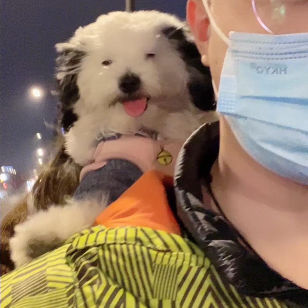 殇魃
