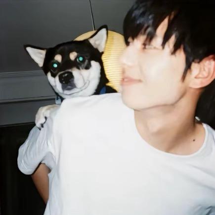 不会跳舞的布丁