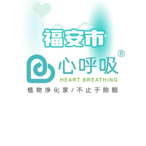 福安市心呼吸专业除甲醛
