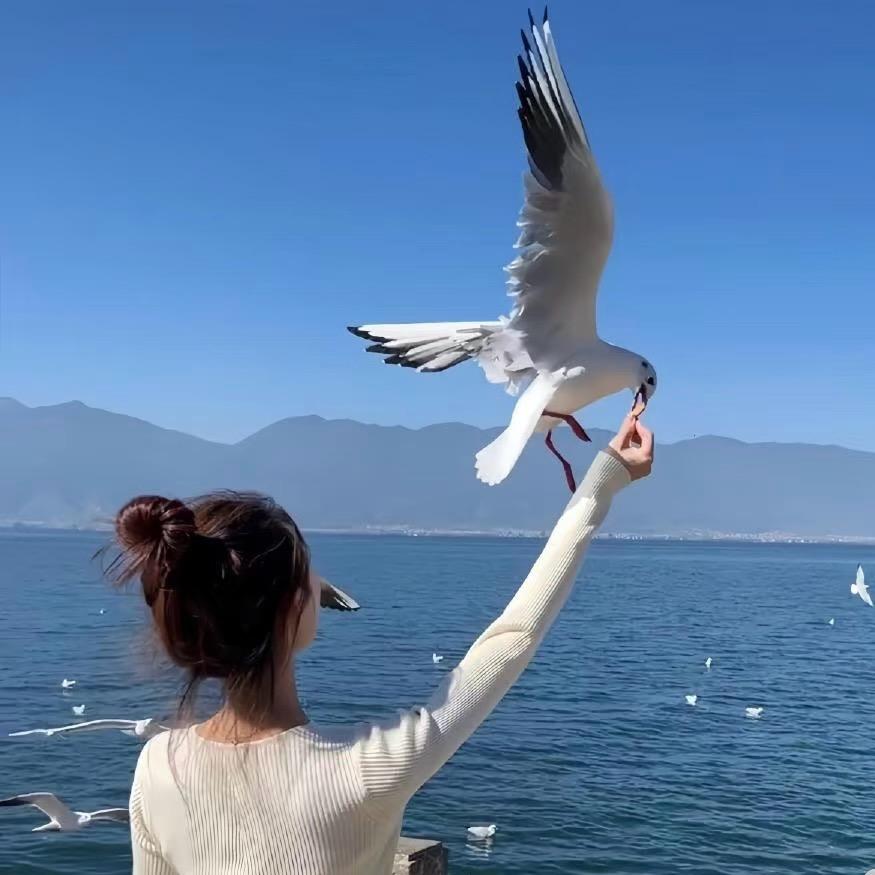 随心而安