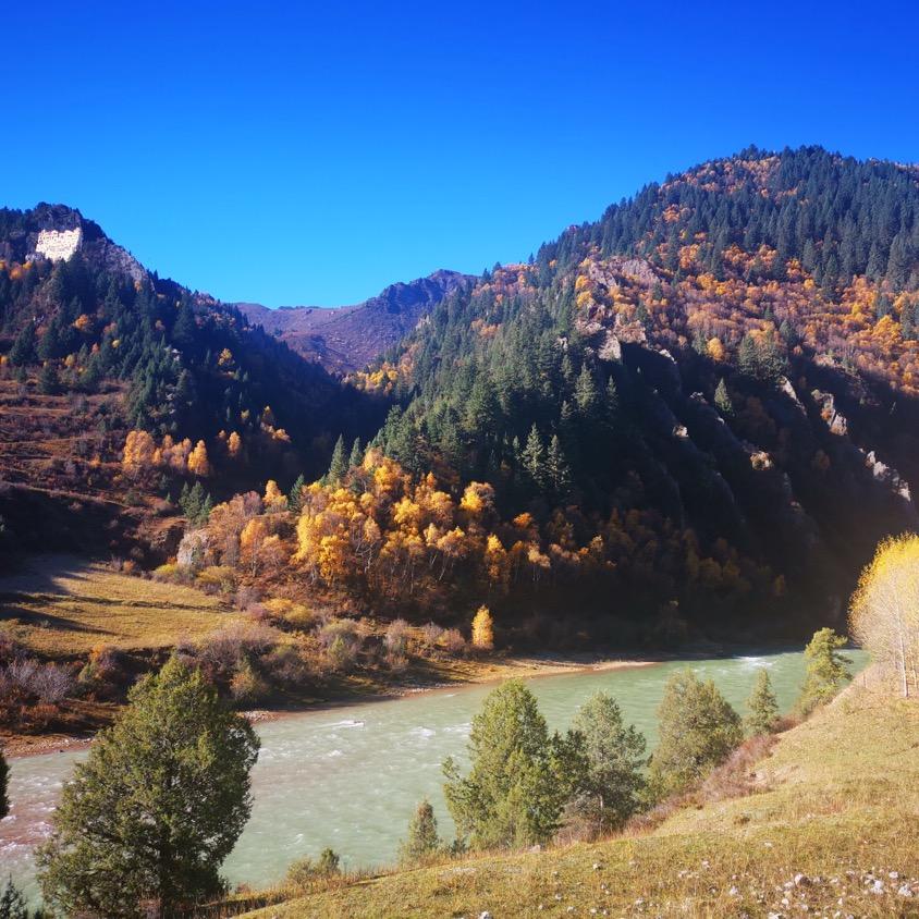 秋水长天烟如黛