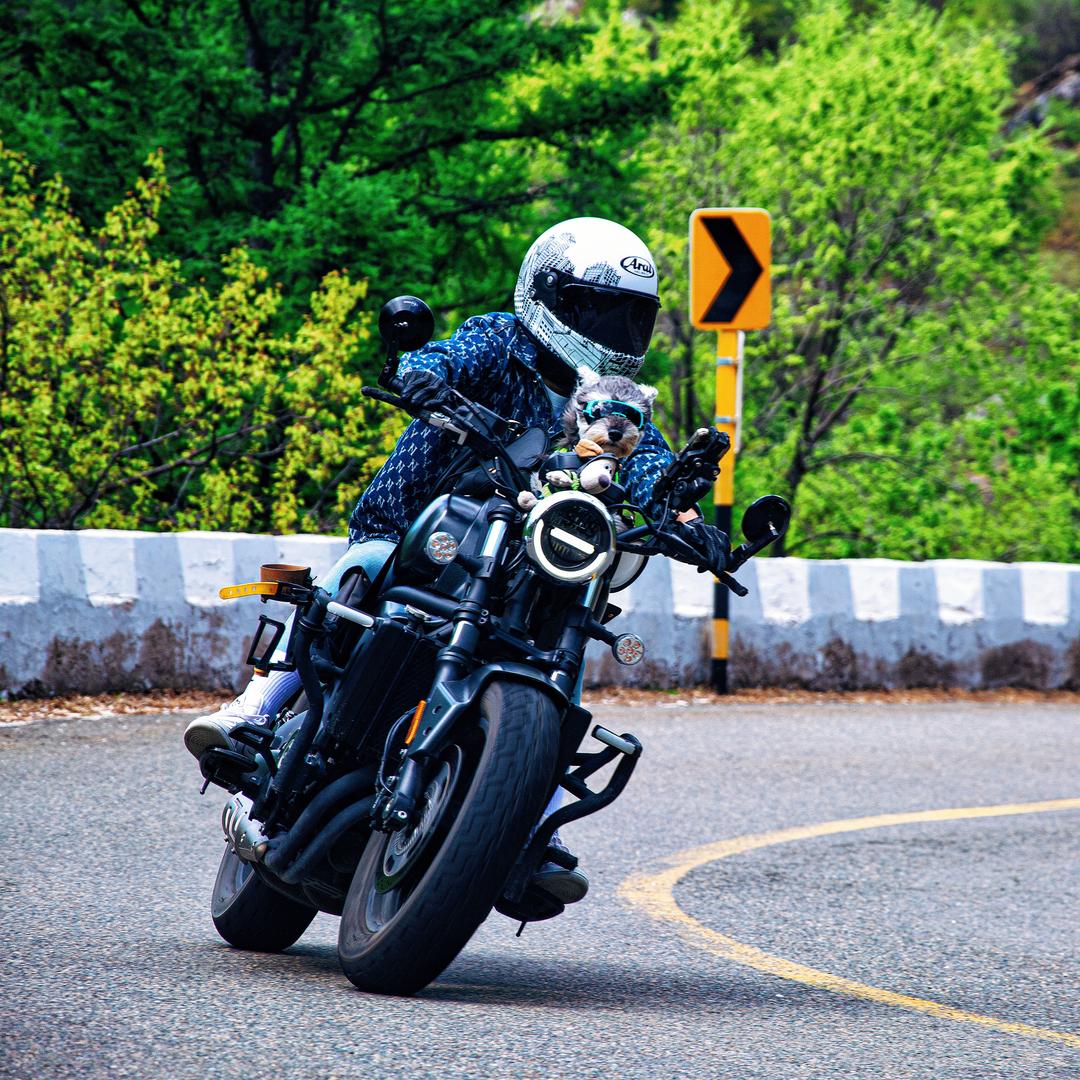 闲散人员🙎‍♀️