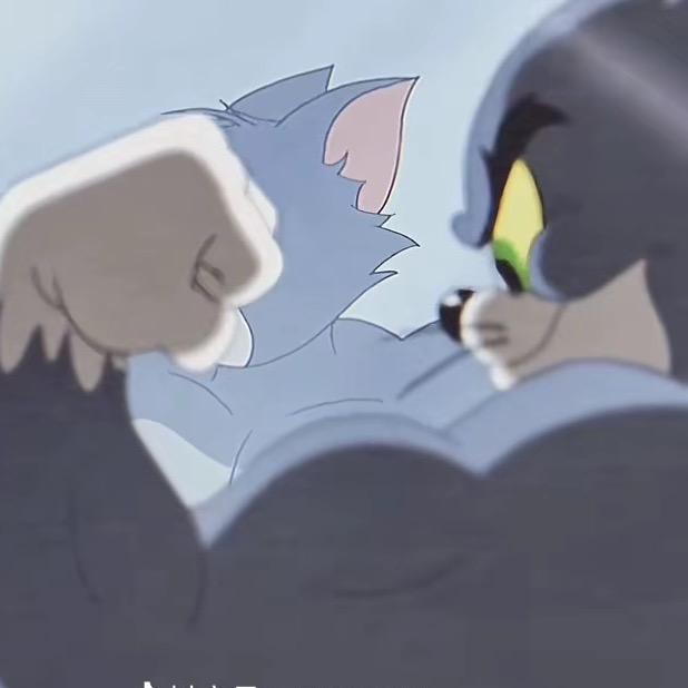 小c猫（考研版）
