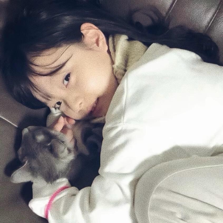 齊함함