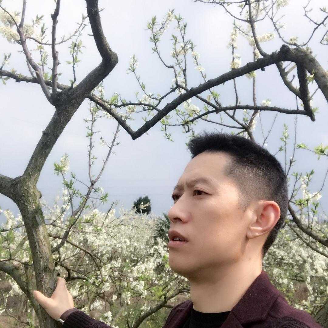 我是丁子、我怕锤子