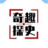 奇趣探史
