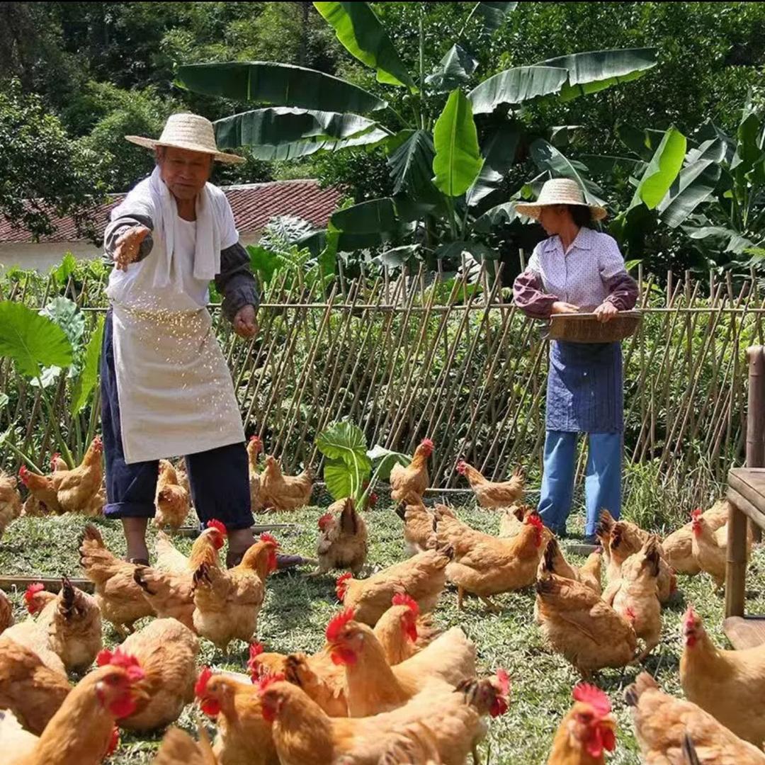 招财家土货