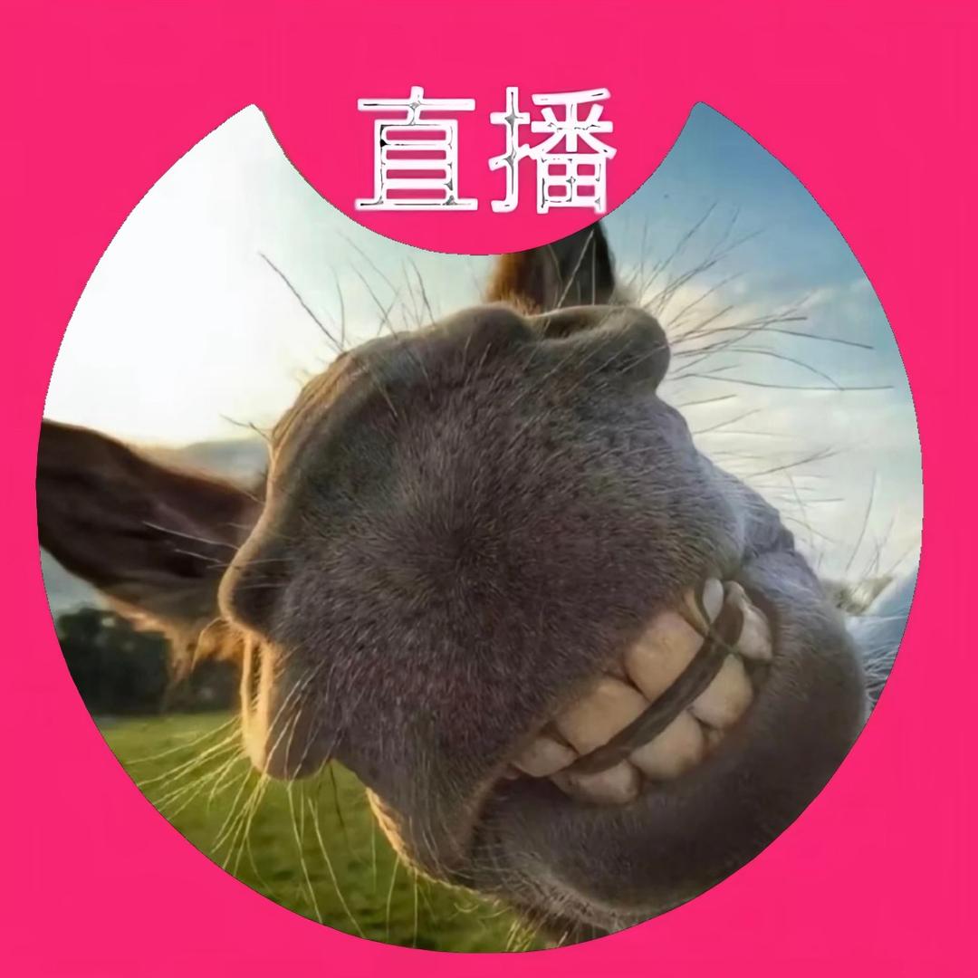 甘蔗