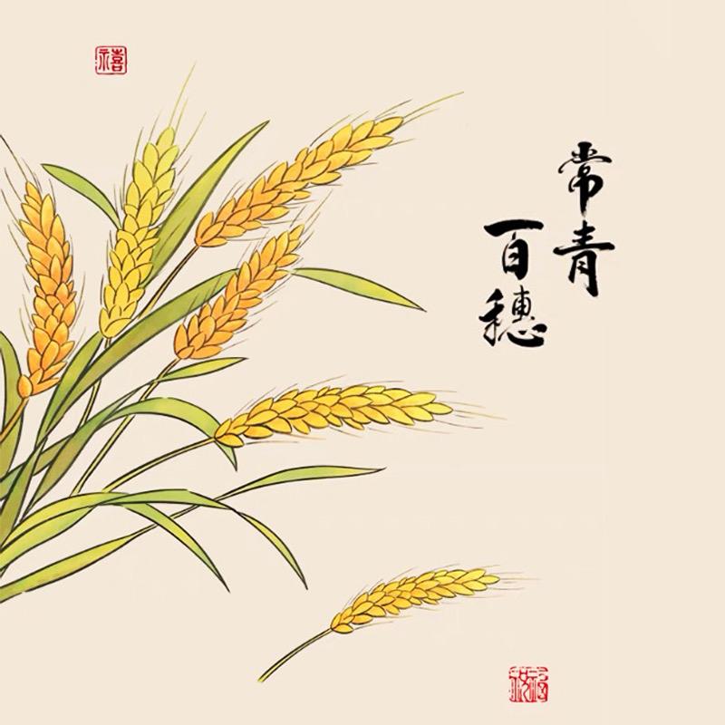常青百穗仓库直发