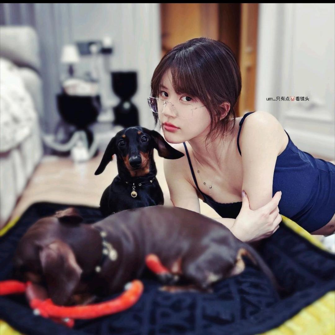 团团💕