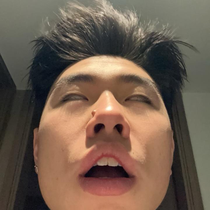 无敌胖狗