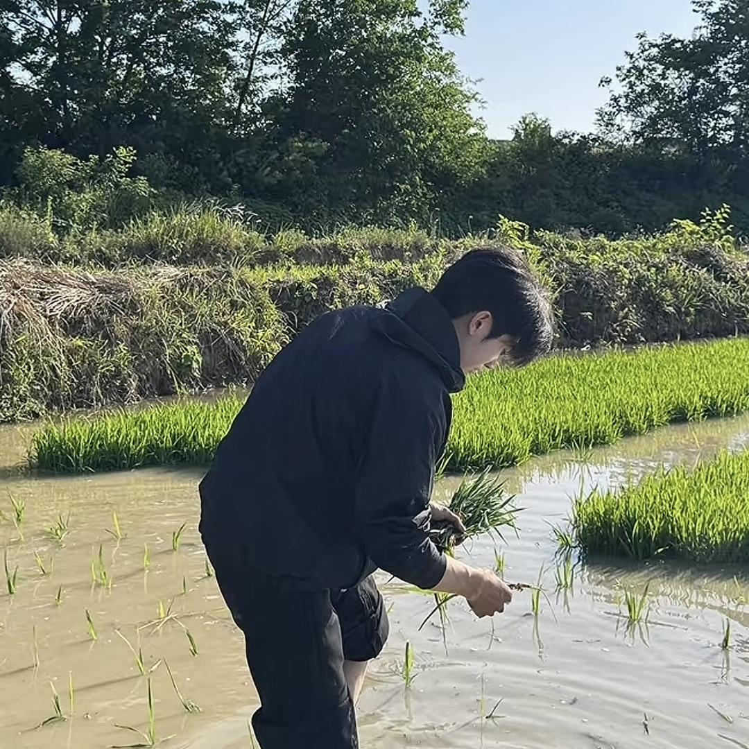 小陈薯业产地直销