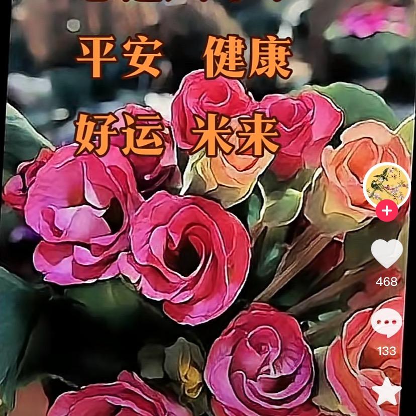 🍎🍎幸福来敲门🍎🍎
