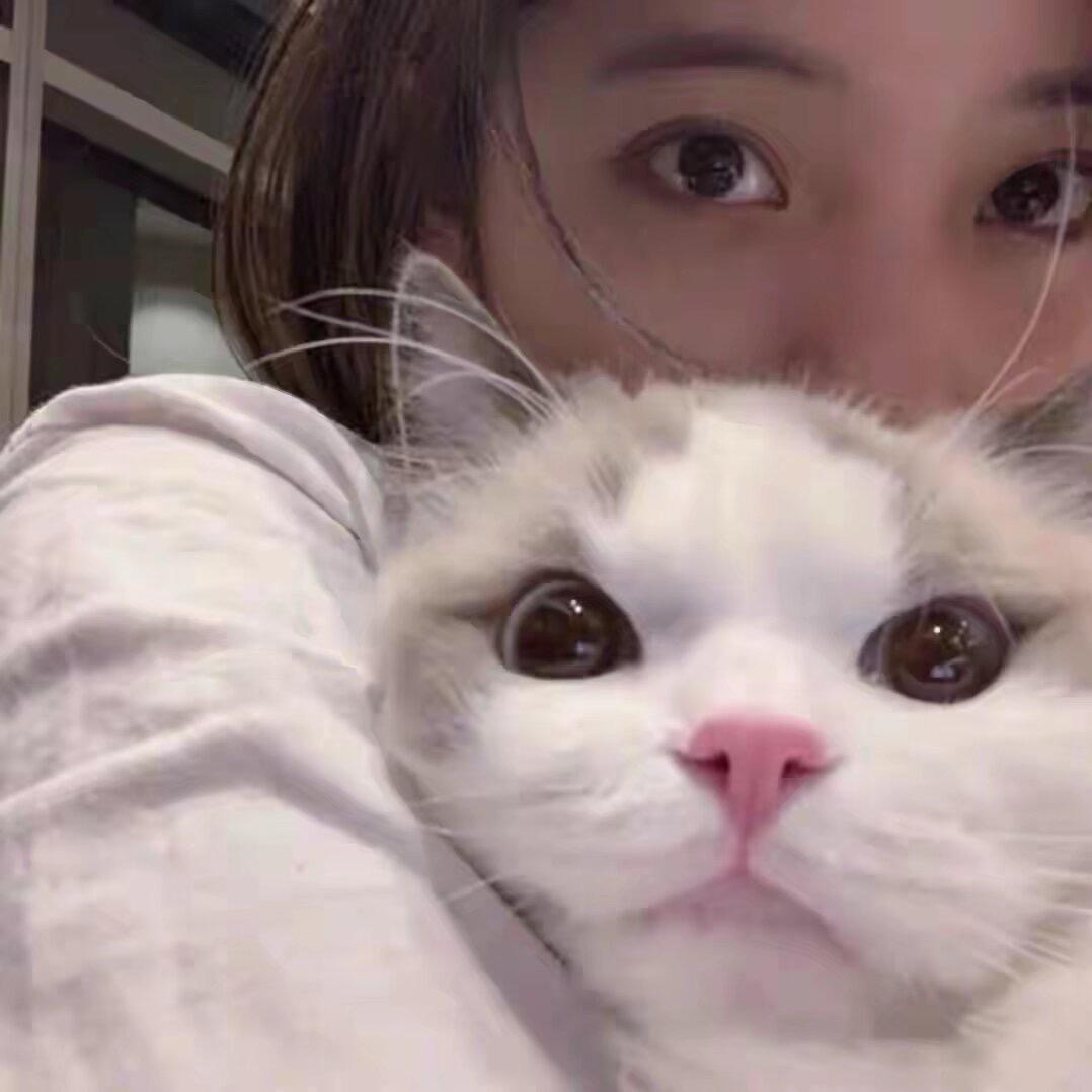 好好