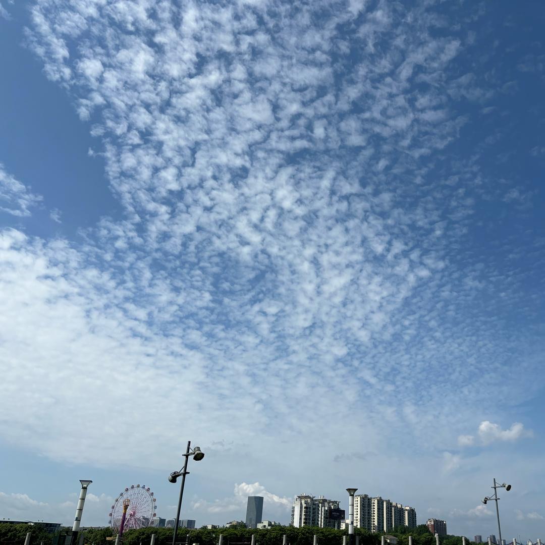 木风香品