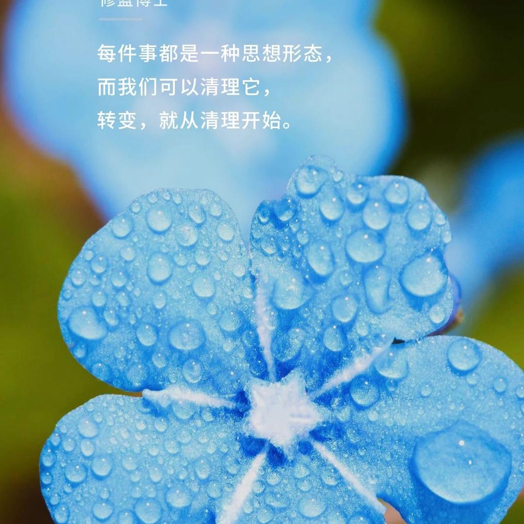 安智秀Loulou