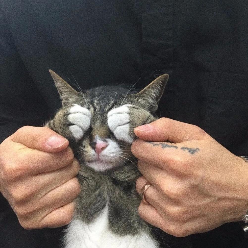 ∵