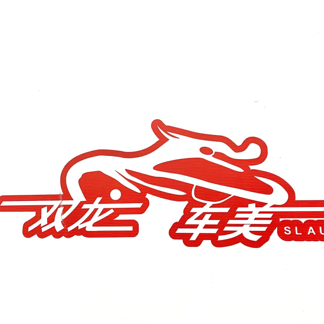 潍坊双龙二手车