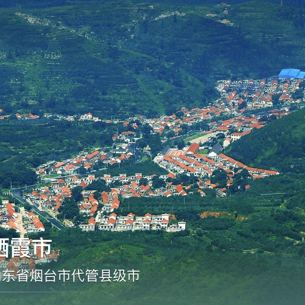 小伍哥万亩方山山区果