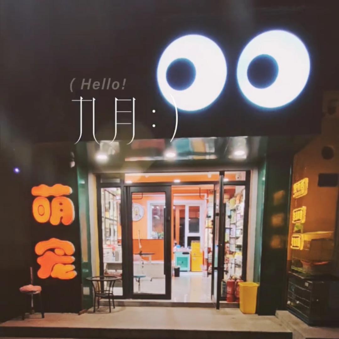 萌奇奇宠物店