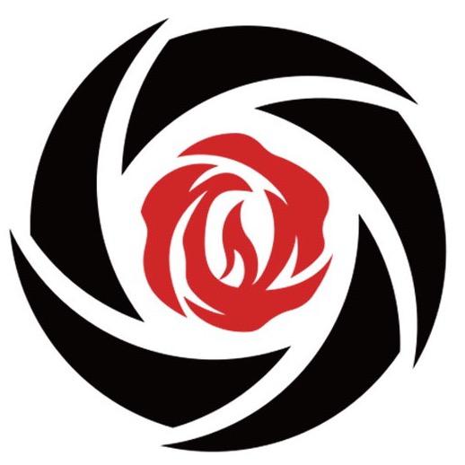 玫瑰潮玩
