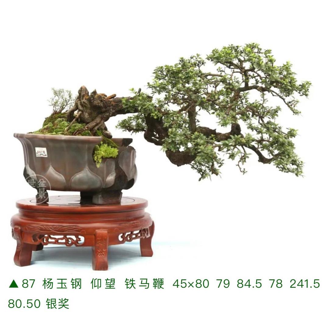 木易《木易战队》
