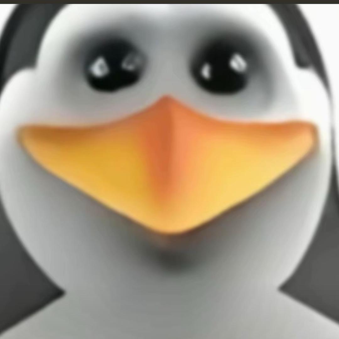 不抽香烟（专升本版）