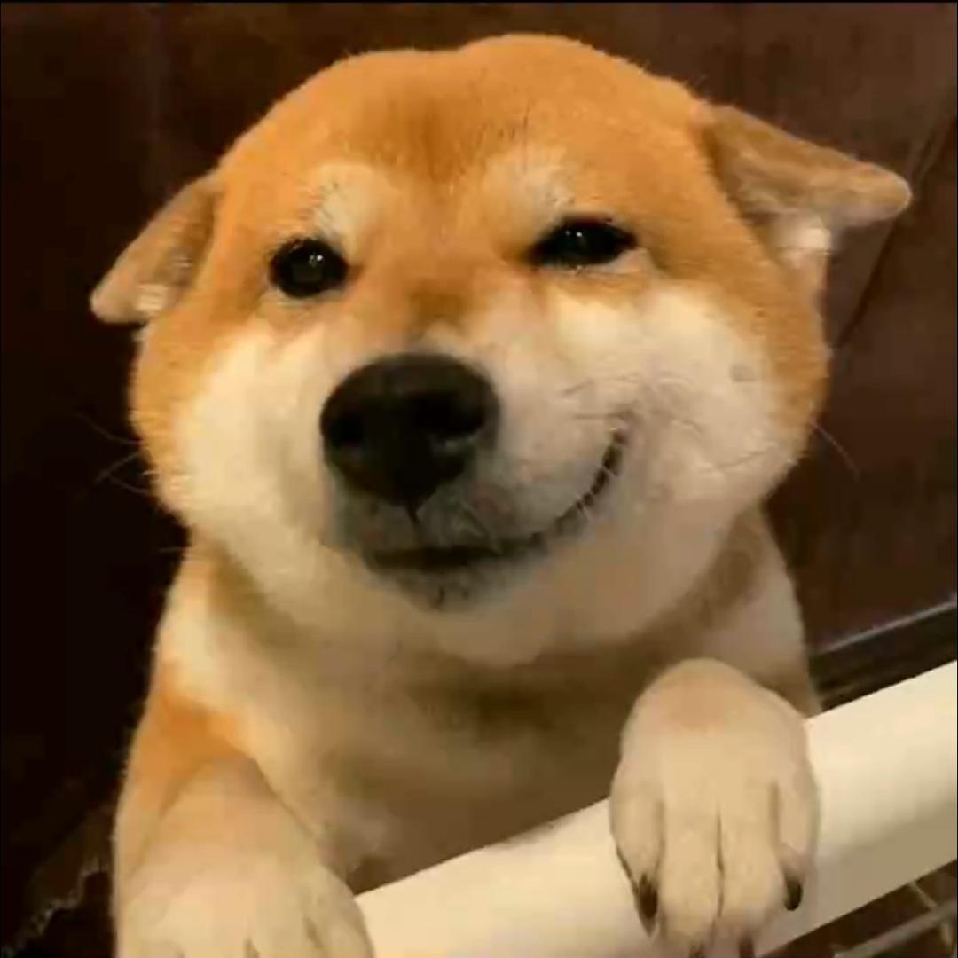 搞怪文案