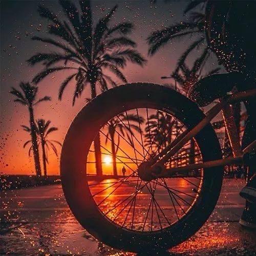 “没烦恼的洋”🐑