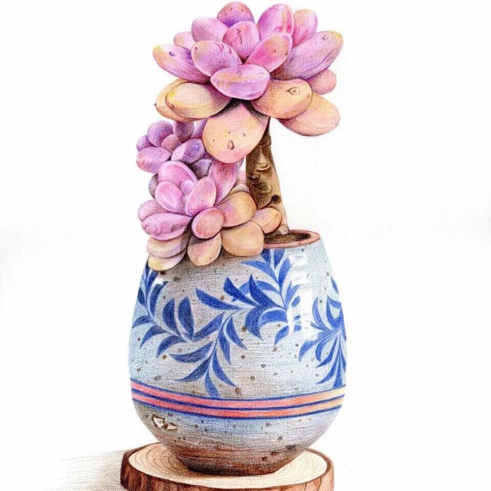 向阳花园艺