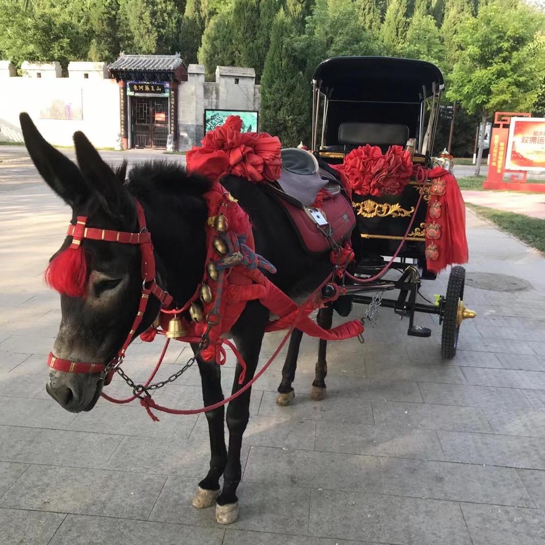 阿胶系列