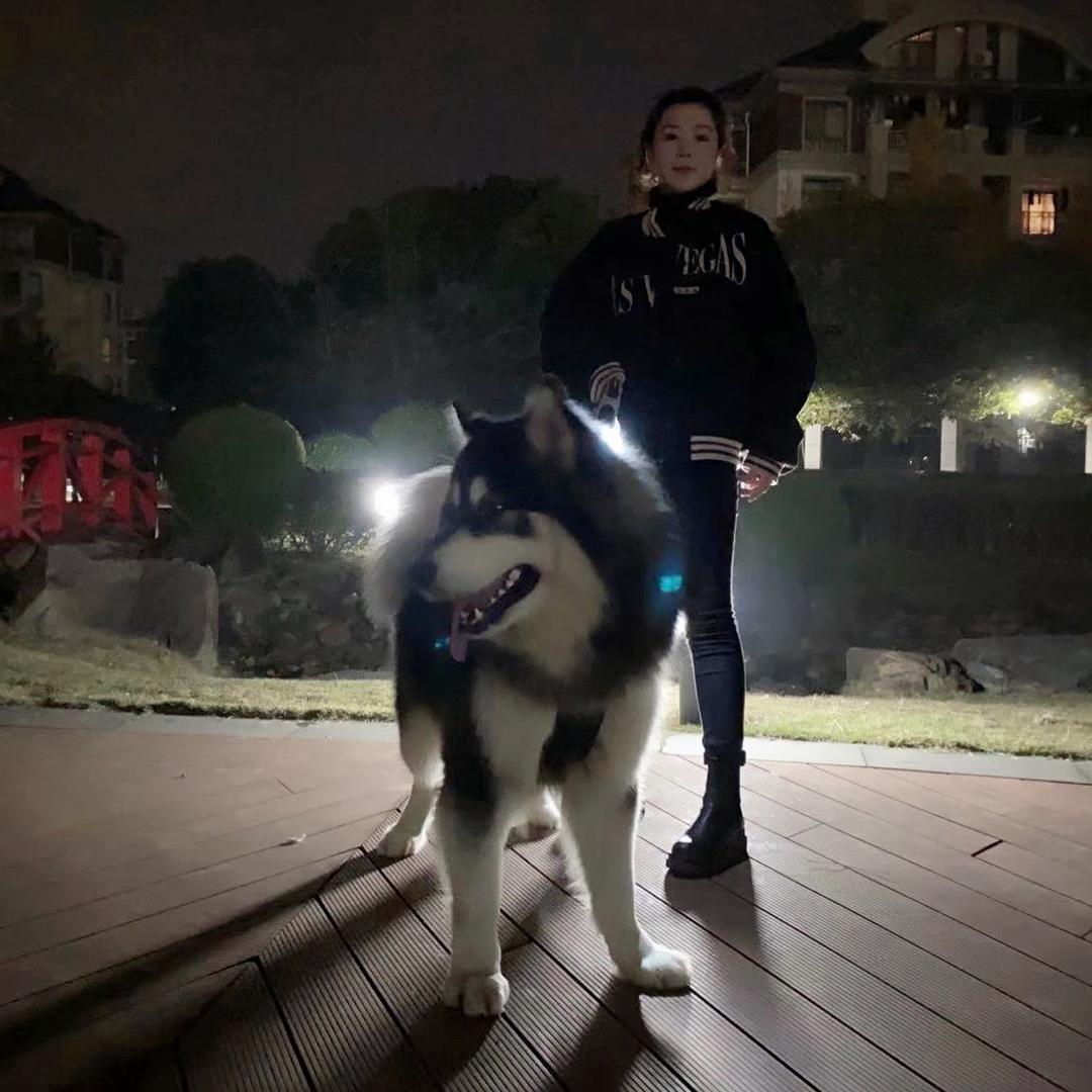 💎麻辣鱿鱼徐