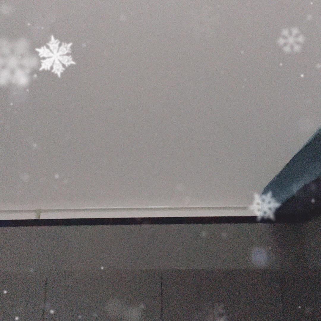 在迪拜塔顶拉屎的乌龟