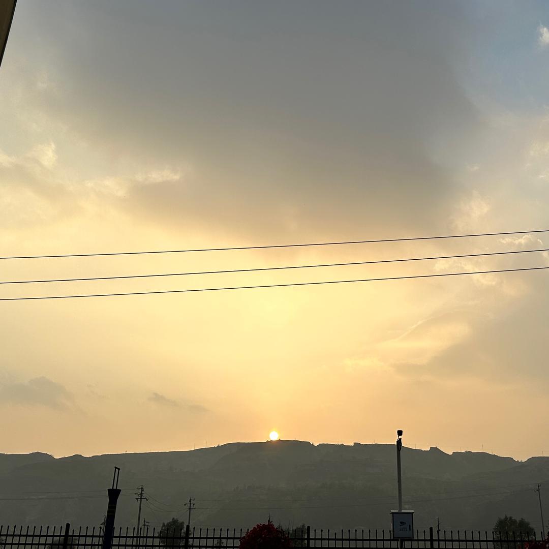 奇文