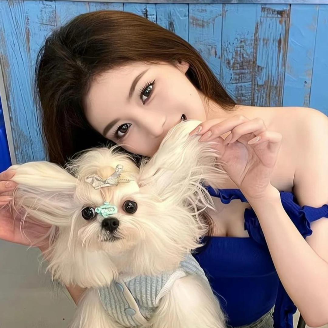 清溪.