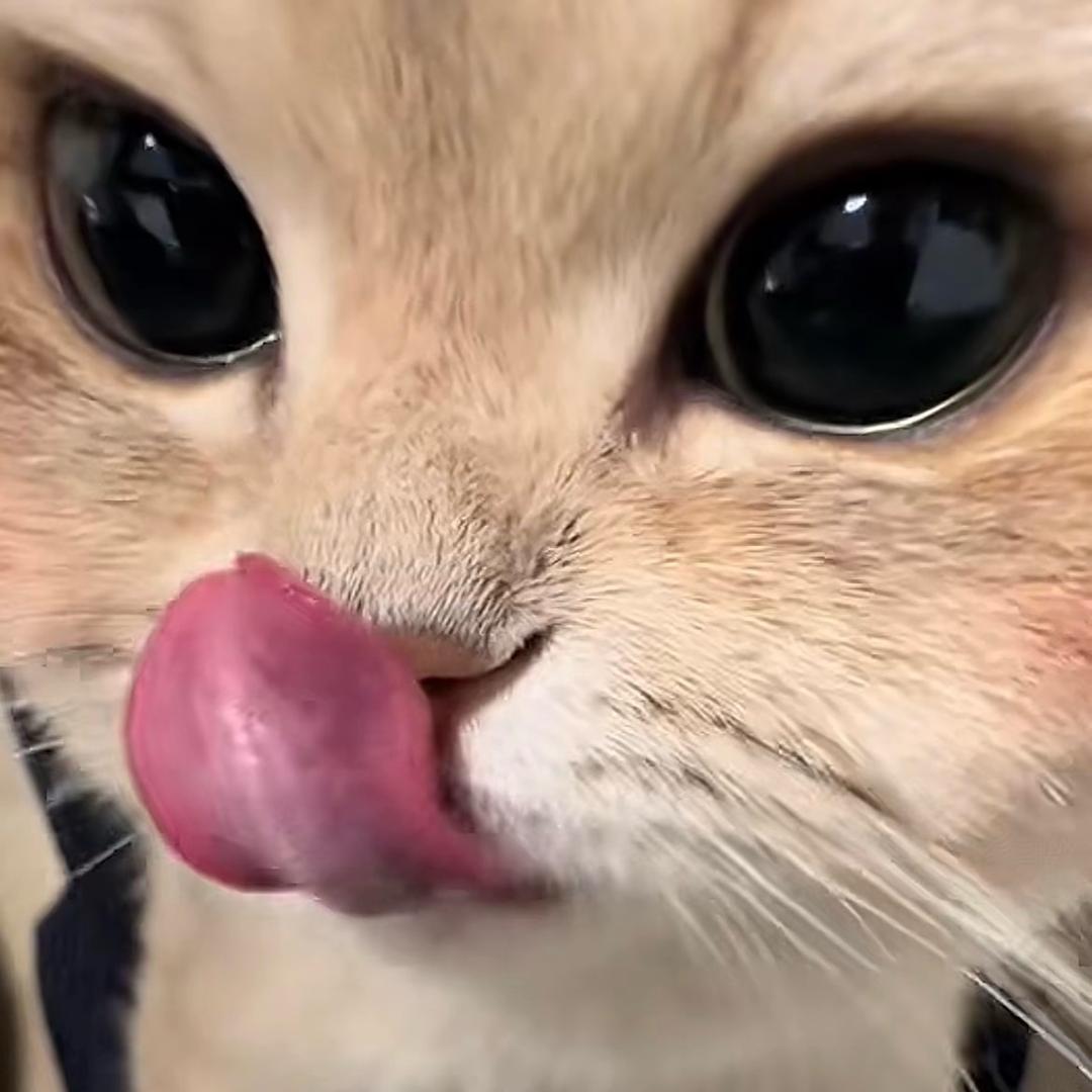 稳稳的幸福