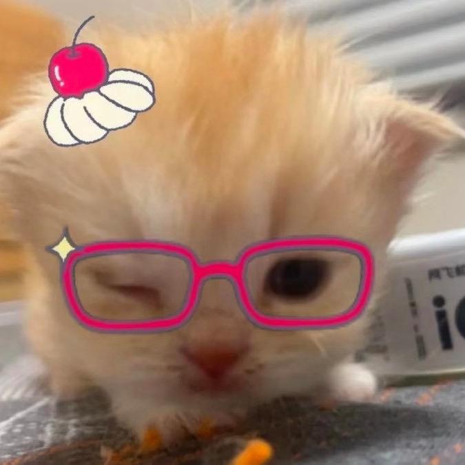 奶黄包