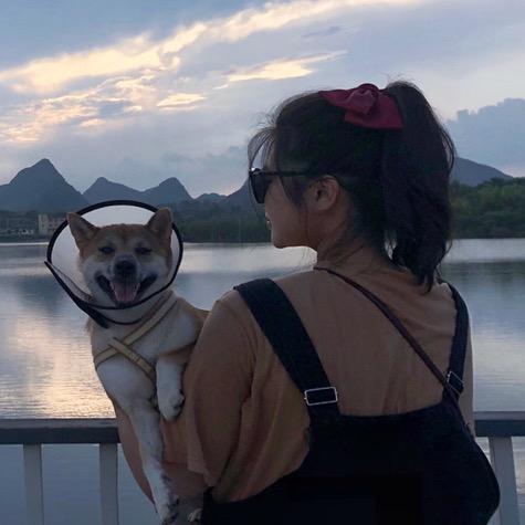 充电宝是只柴妹妹