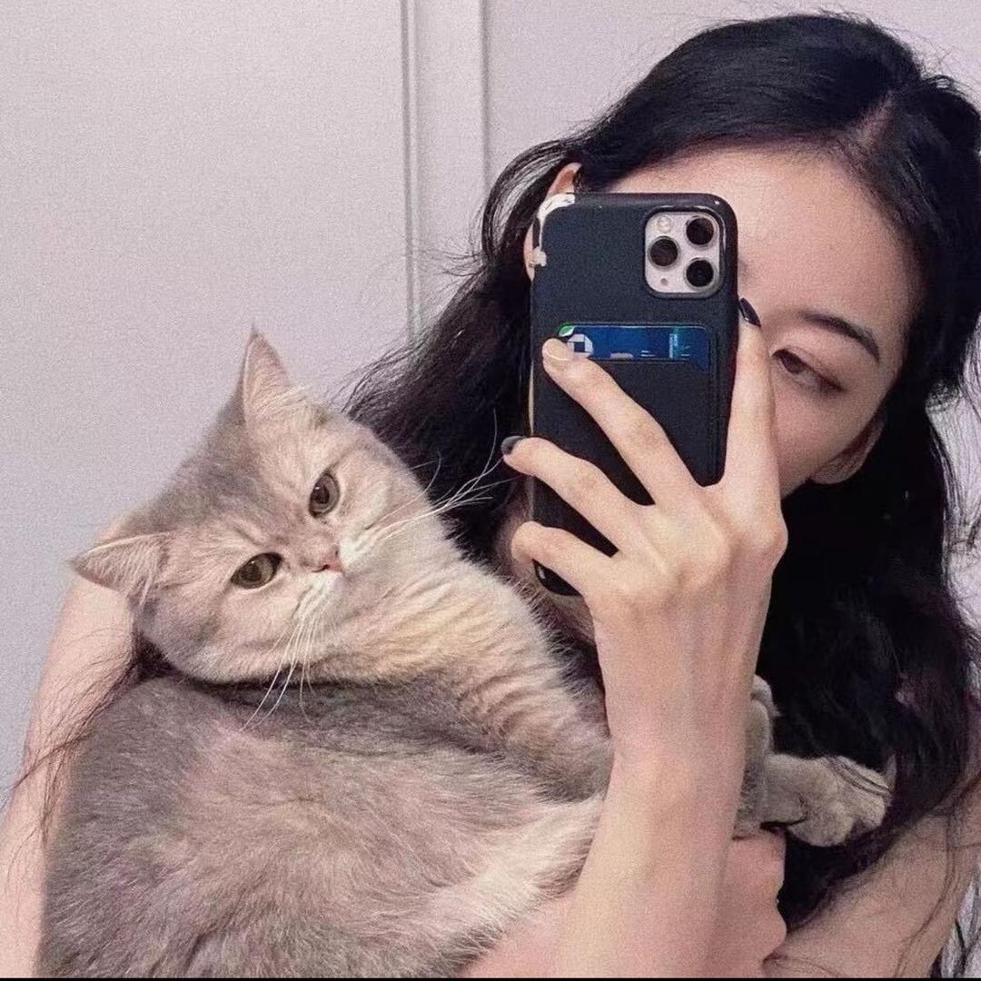 ღ᭄ꫛ清零ღ᭄